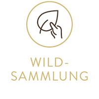 Wildsammlung