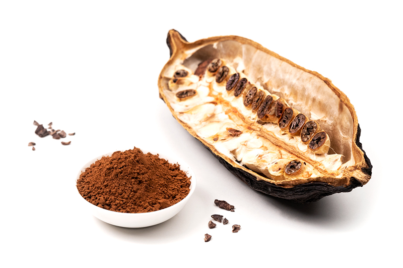 Fine cocoa powder, slightly de-oiled 20-22% (5kg)